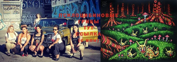 PSILOCYBIN Абинск