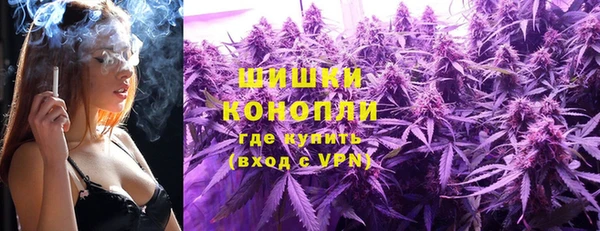 альфа пвп Медвежьегорск