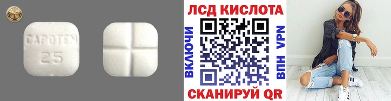 где можно купить наркотик Шилка ЛСД экстази ecstasy