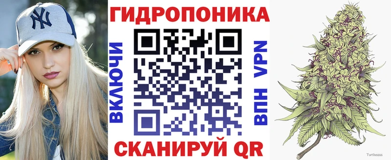 Бошки марихуана сатива  Шилка 